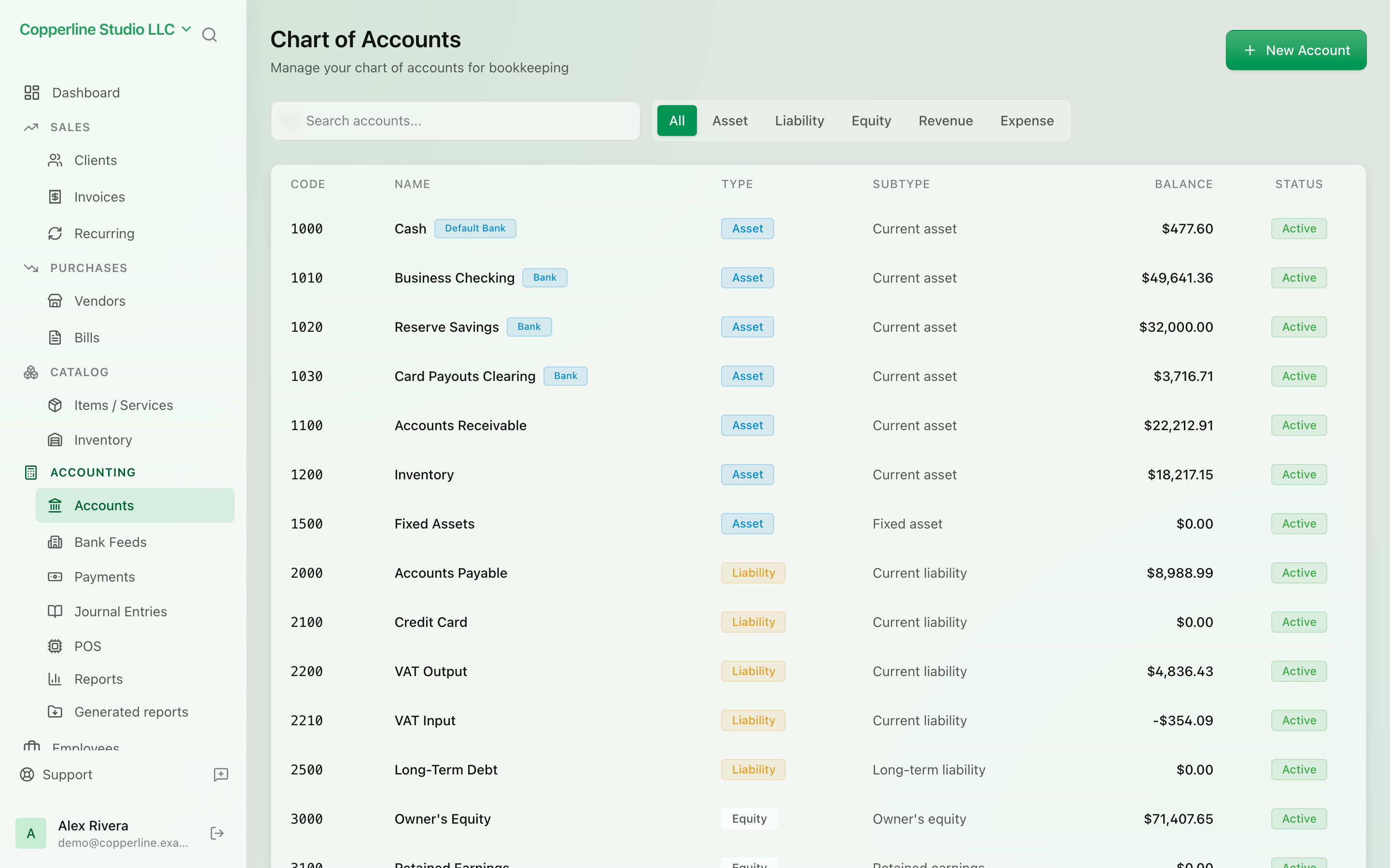 The Chart of accounts screen in Nefin